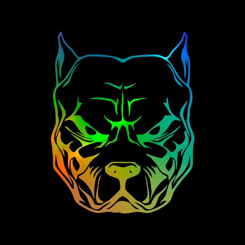 Motorcycle Sticker dog pattern - Motorcycle Gear For Dogs 评论和价格