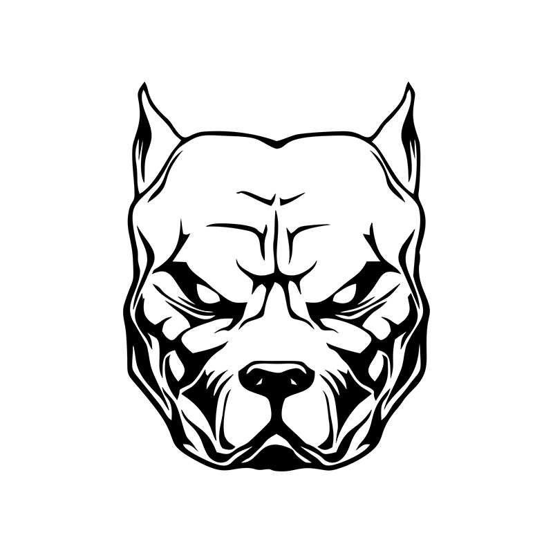 Motorcycle Sticker dog pattern - Motorcycle Gear For Dogs 评论和价格
