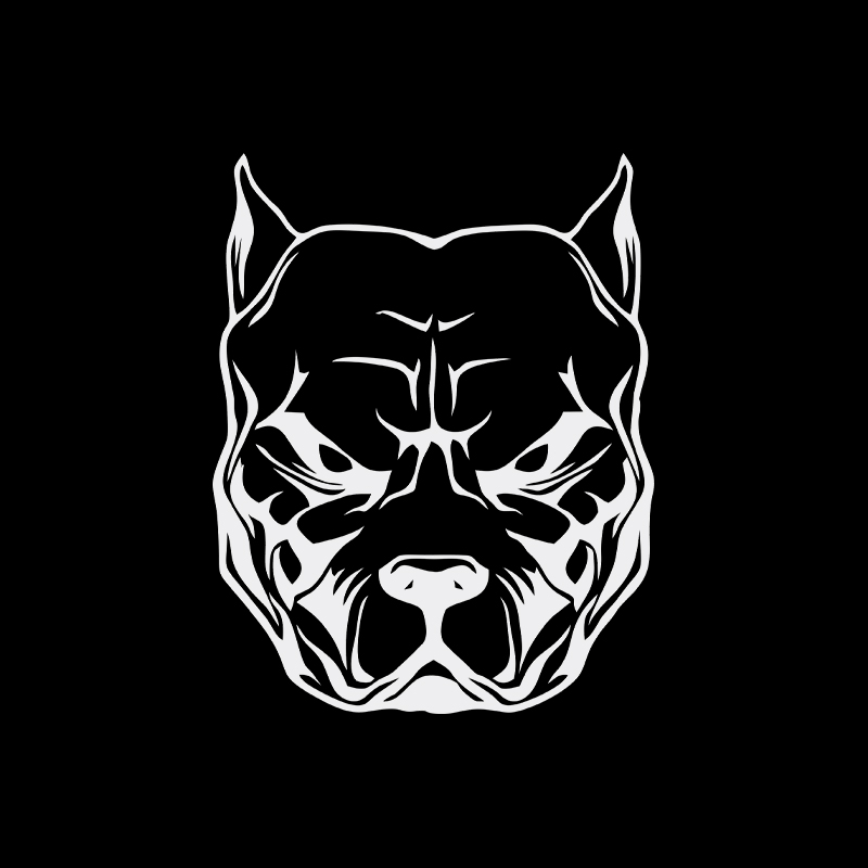 Motorcycle Sticker dog pattern - Motorcycle Gear For Dogs 评论和价格