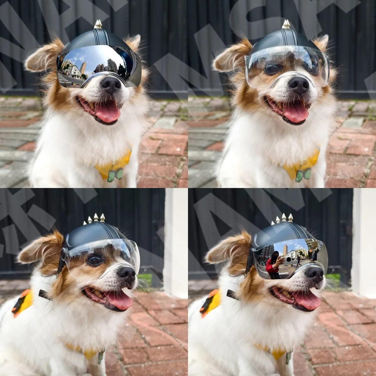 2-in-1 Dog Motorcycle Helmet & - Motorcycle Gear For Dogs 评论和价格