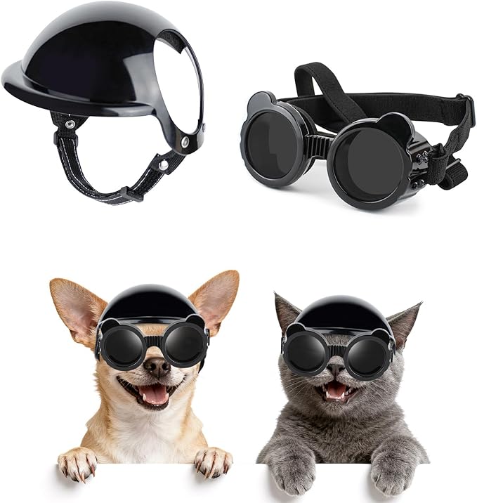 Cat Motorcycle Helmet Dog Wate - Motorcycle Gear For Dogs 评论和价格