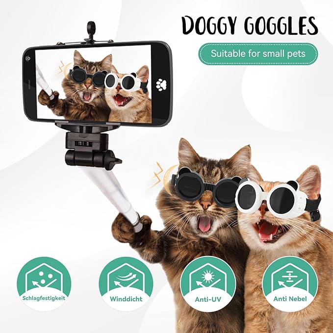 Cat Motorcycle Helmet Dog Wate - Motorcycle Gear For Dogs 评论和价格
