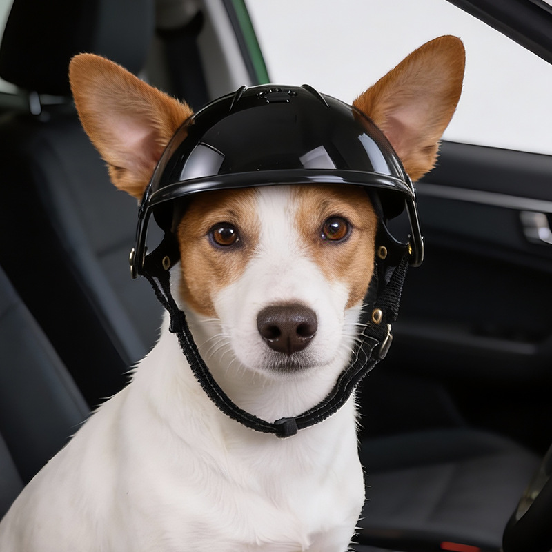 Pet Helmet for Dogs Cats Funny - Motorcycle Gear For Dogs 评论和价格