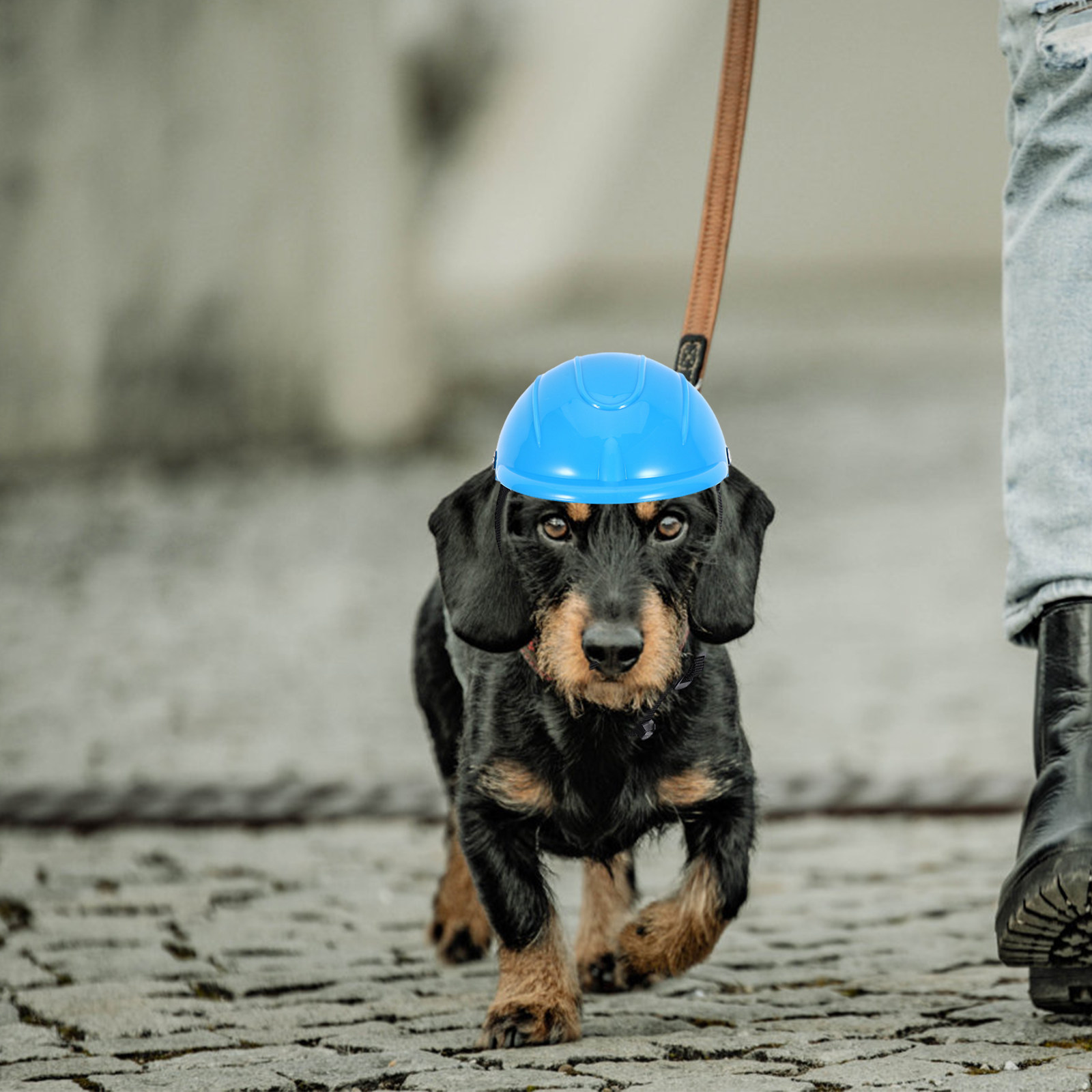Small Dog Adjustable Pet Safet - Motorcycle Gear For Dogs 评论和价格